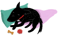 Ilustração Cachorro Preto com coleira vermelha